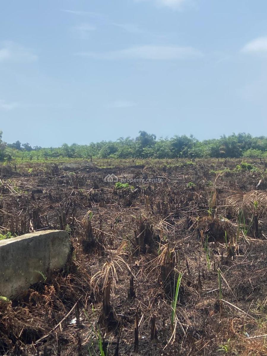 Two Hectares of Dry Land, Abijo Gra, Abijo, Lekki, Lagos, Mixed-use Land for Sale