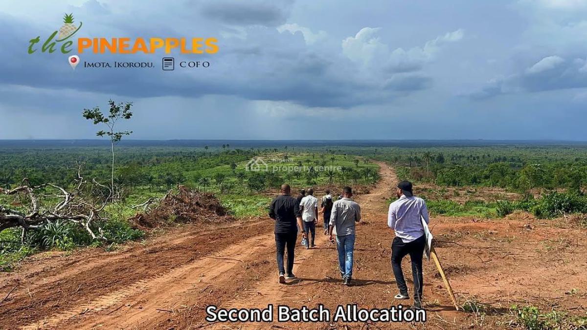 Black Friday Ember Promo Offer on a Secured Estate Land, Pineapple Estate 2, Imota, Ikorodu, Lagos, Residential Land for Sale