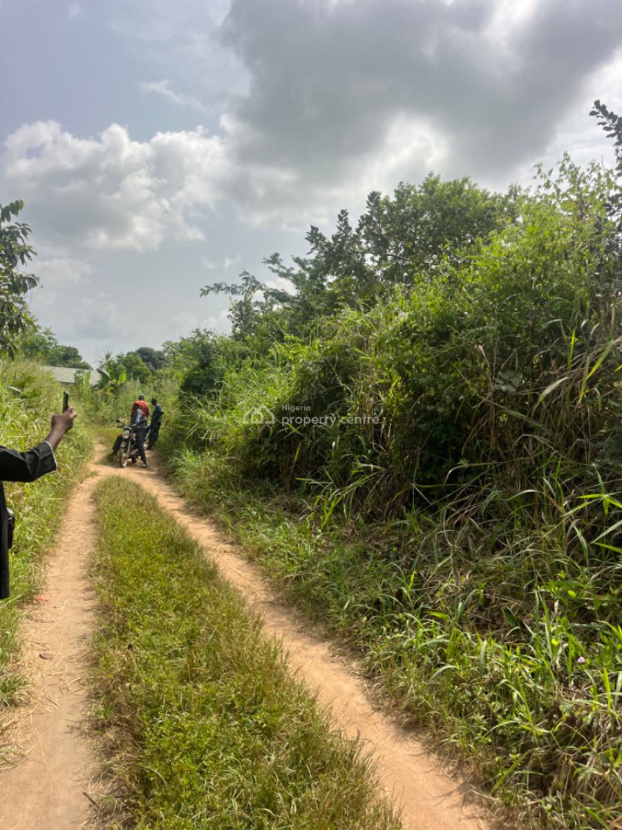 100 Acres of Farm Land with a Potential Value to Plant Crops, Orile Ilugun, Odeda, Ogun, Commercial Land for Sale