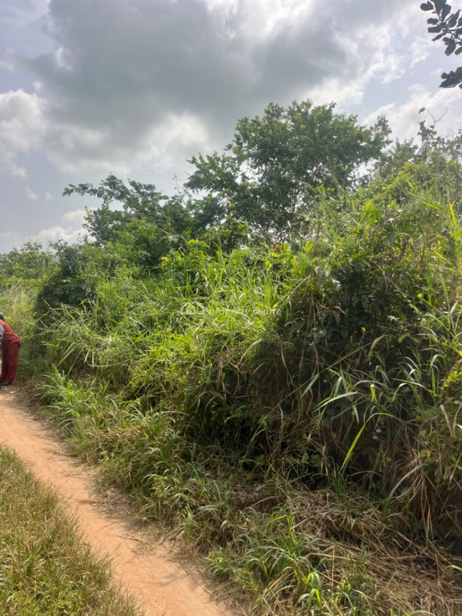 100 Acres of Farm Land with a Potential Value to Plant Crops, Orile Ilugun, Odeda, Ogun, Commercial Land for Sale