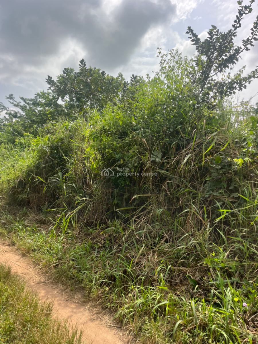 100 Acres of Farm Land with a Potential Value to Plant Crops, Orile Ilugun, Odeda, Ogun, Commercial Land for Sale