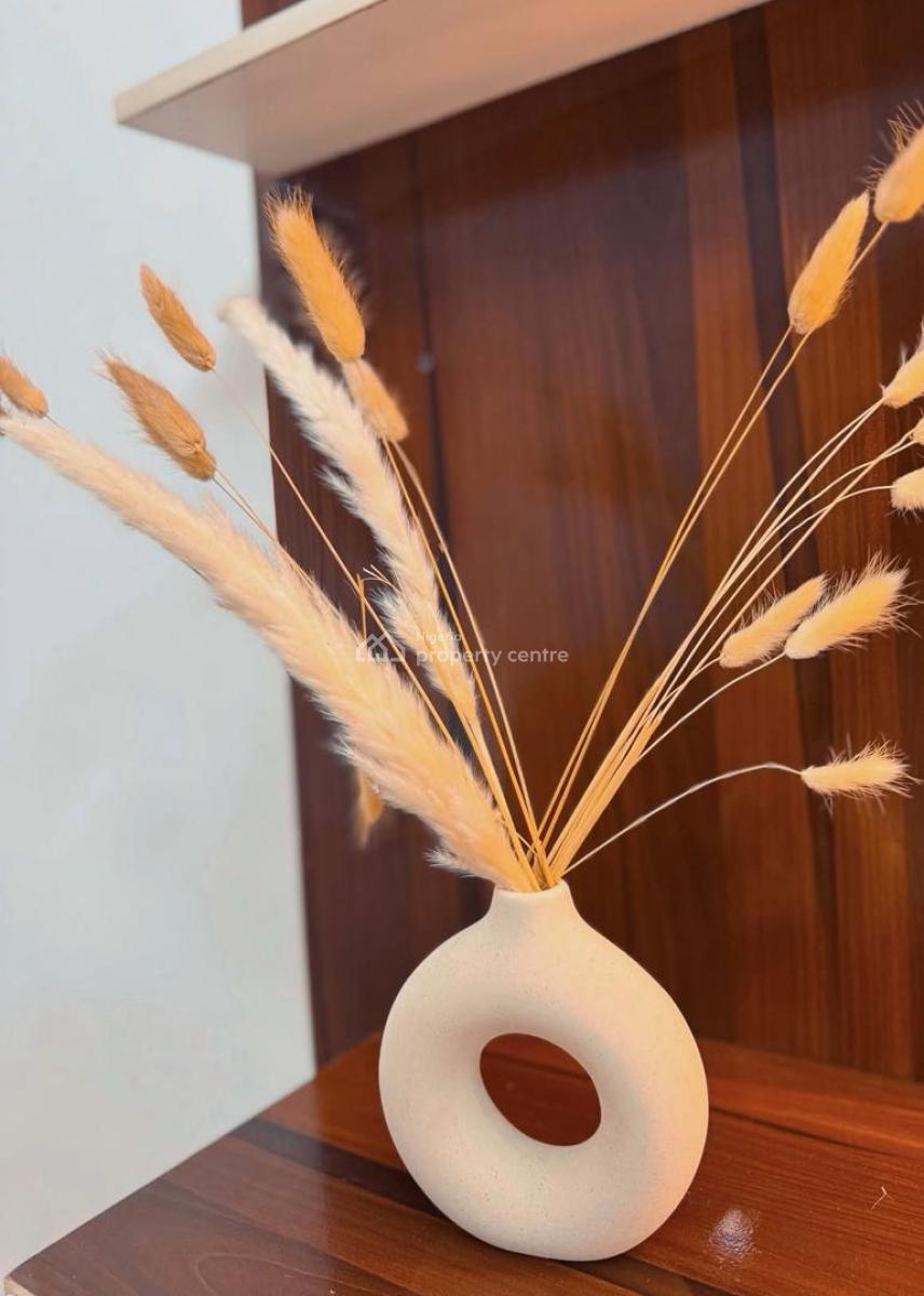 Brand New 2-bedroom Luxurious Apartment -- Surulere, Lagos, Surulere, Lagos, House Short Let