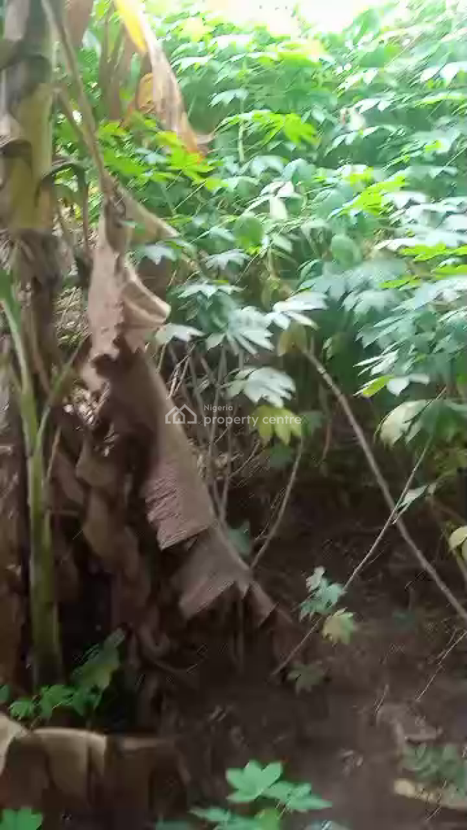 a Half Plot of Land, Ipaja, Lagos, Land for Sale