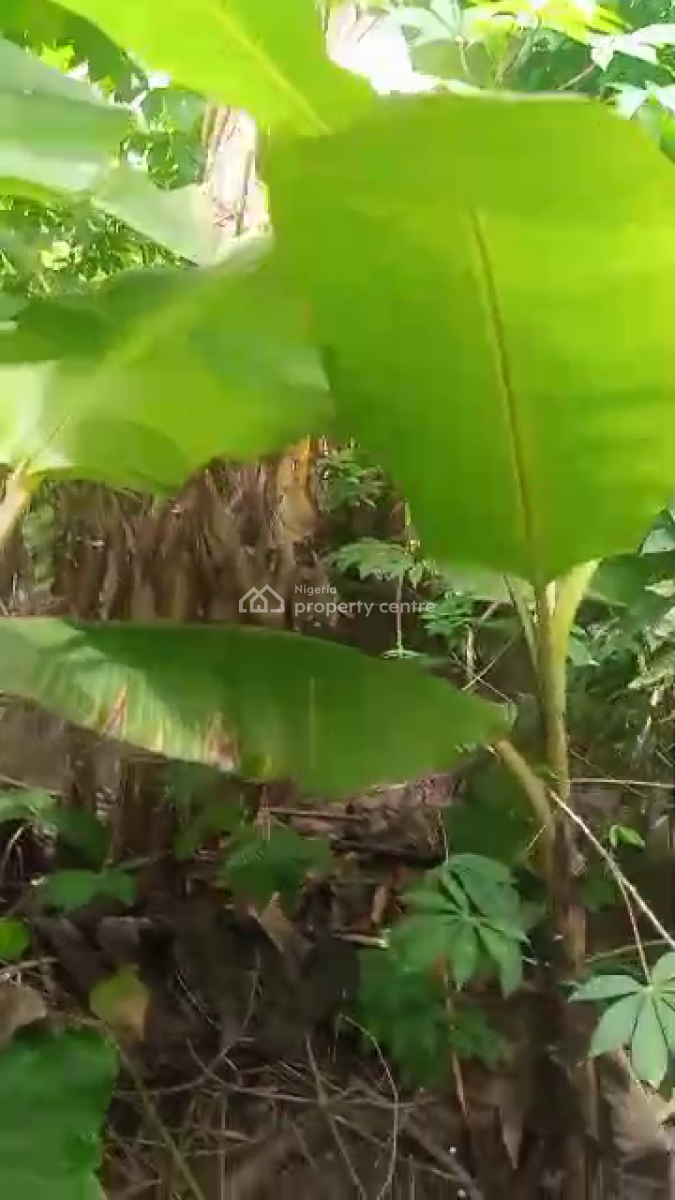 a Half Plot of Land, Ipaja, Lagos, Land for Sale