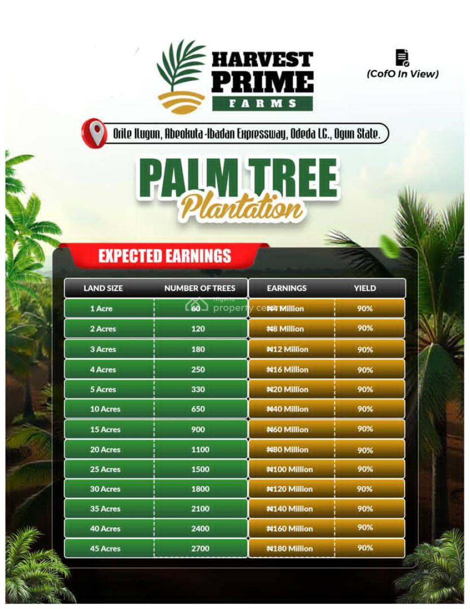 Palm Oil Farm Land Investment, Orile Ilegun, Abeokuta North, Ogun, Land for Sale