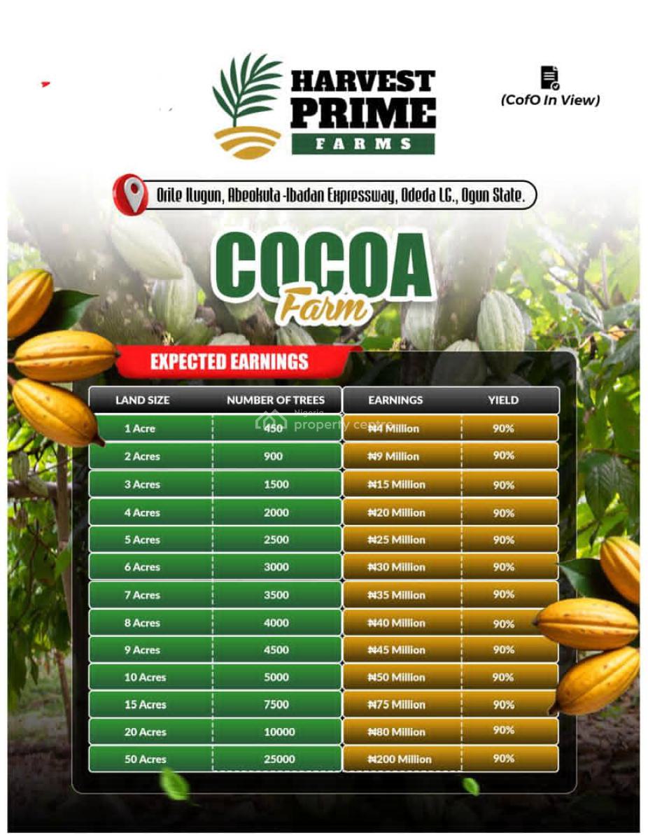 Palm Oil Farm Land Investment, Orile Ilegun, Abeokuta North, Ogun, Land for Sale