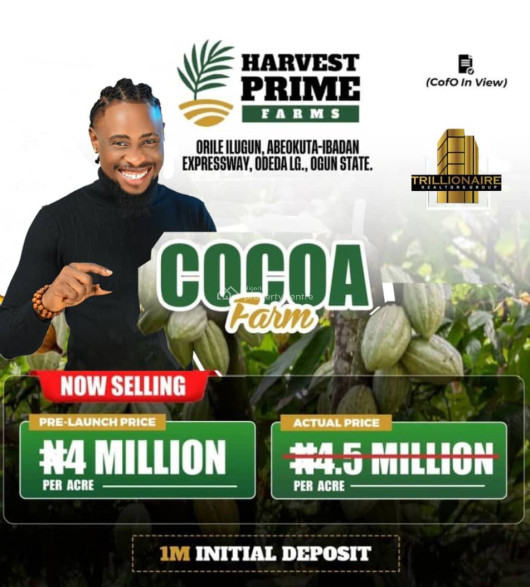 Palm Oil Farm Land Investment, Orile Ilegun, Abeokuta North, Ogun, Land for Sale