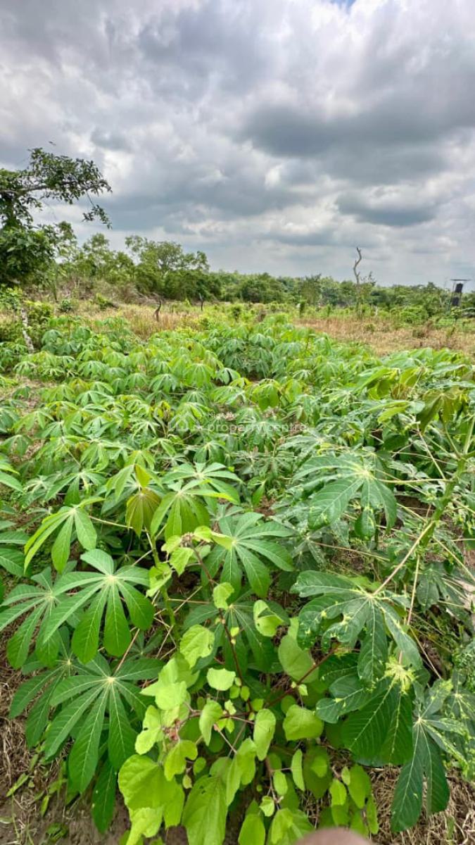 Own an Affordable Fertile Farmland with Assured Security, Own a Farmland Suitable for Cocoa, Cassava, Cashew, Oil Palm & Others, Abeokuta North, Ogun, Mixed-use Land for Sale