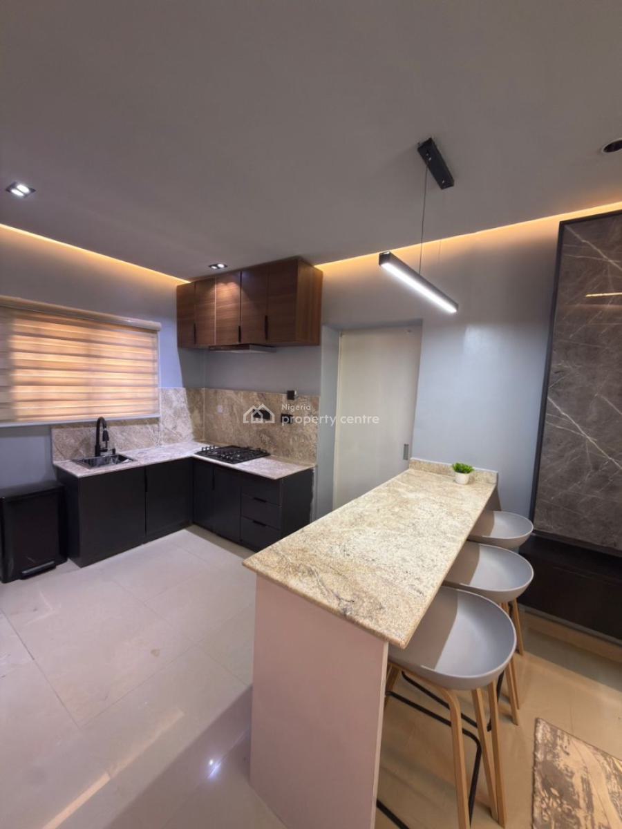 Luxury Furnished 2 Bedroom Apartment, Wuye, Abuja, Flat / Apartment for Rent