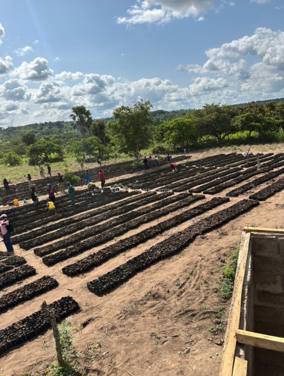 Key Into an Acre of Our Fertile Farmland and Get 60 Free Palm Trees, Reserve an Acre with 1 Million Naira Deposit, Payment Plan Available, Imeko Afon, Ogun, Mixed-use Land for Sale