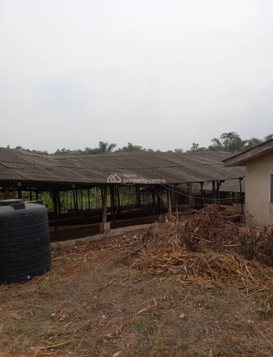 5 Plots of Land (2,800sqm) for All Kind of Purposes, @ Ebute Area, Ibafo, Off Lagos/ibadan Expressway Way Ogun State, Ibafo, Ogun, Mixed-use Land for Sale