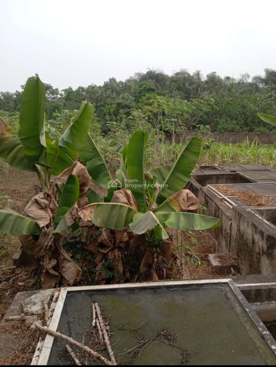 5 Plots of Land (2,800sqm) for All Kind of Purposes, @ Ebute Area, Ibafo, Off Lagos/ibadan Expressway Way Ogun State, Ibafo, Ogun, Mixed-use Land for Sale