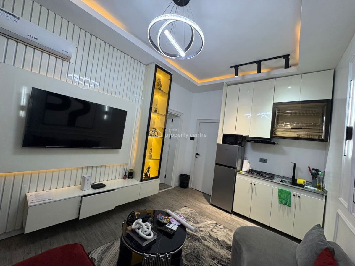 Fully Furnished and Serviced 1 Bedroom Apartment, Maitama District, Abuja, Flat / Apartment for Rent