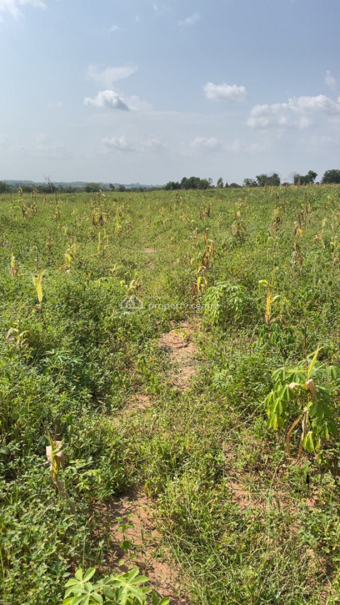 Soil to Success: The Ultimate Land Banking Opportunity.payment Plan, Next Generation Farm City, Abeokuta South, Ogun, Mixed-use Land for Sale