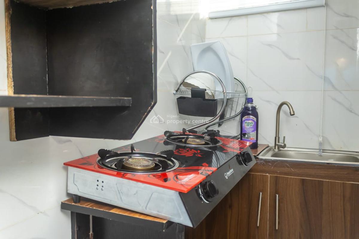 Well-furnished 1 Bedroom Apartment, Off Adeniran Ogunsanya, Surulere, Lagos, Mini Flat (room and Parlour) Short Let