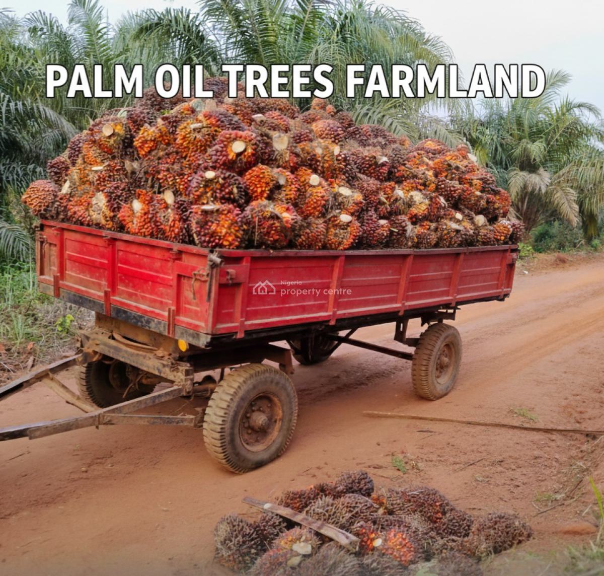 Acres & Hectares of Oil Palm Tree Farmland with C of O, Imeko Afon, Ogun, Commercial Land for Sale
