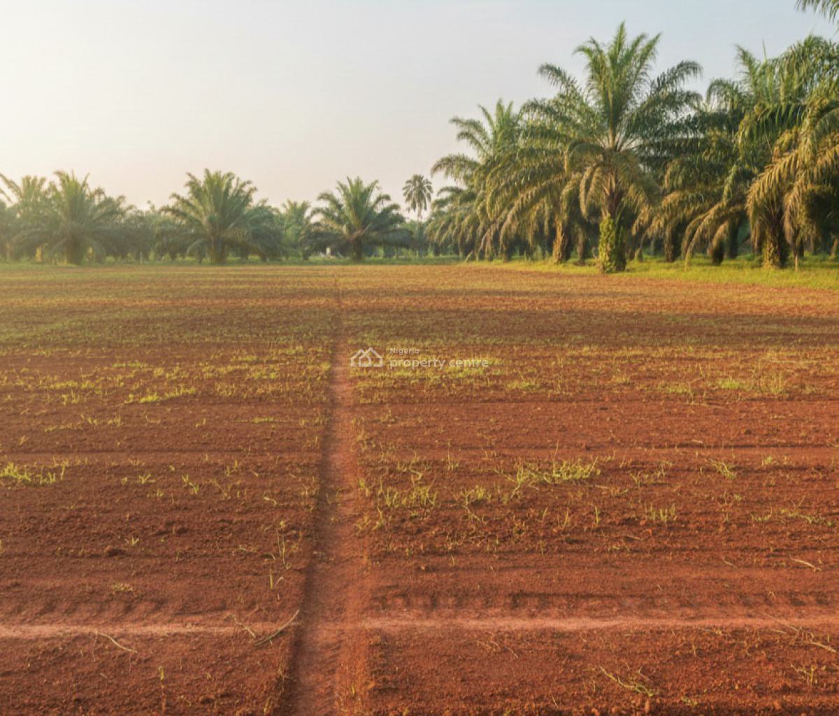 Acres & Hectares of Oil Palm Tree Farmland with C of O, Imeko Afon, Ogun, Commercial Land for Sale