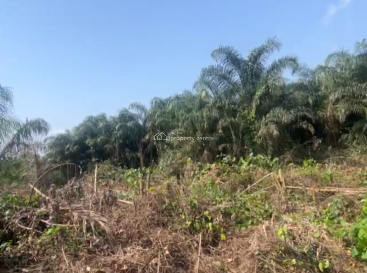 Affordable Government Allocated Land, Poka, Epe, Lagos, Residential Land for Sale