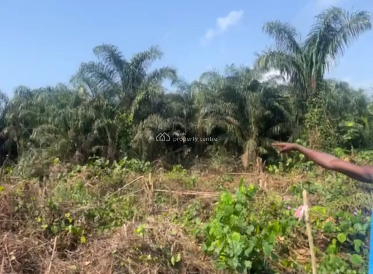 Affordable Government Allocated Land, Poka, Epe, Lagos, Residential Land for Sale