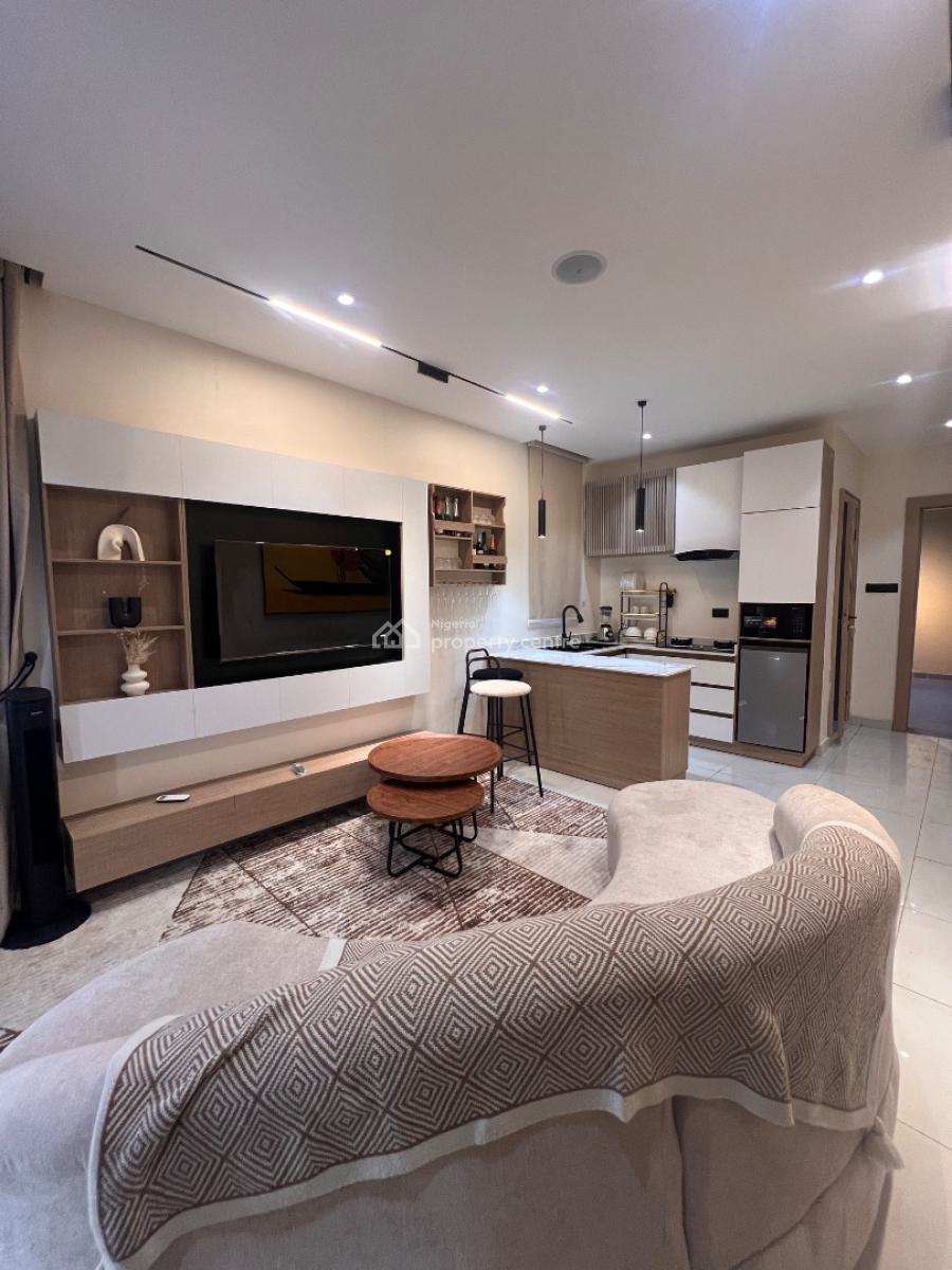 Perez Court, a High Investment Masterpiece, Earn Passive Income Daily, Ideal for Shortlet Investment & Earn Passive Income Daily, Surulere, Lagos, Flat / Apartment for Sale