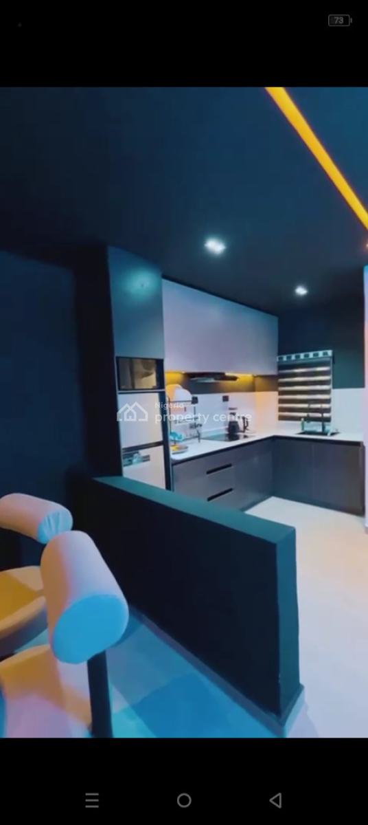 a Standard and Modern Aesthetically Pleasing 2 Bedroom Apartment, Surulere, Surulere, Lagos, Detached Duplex Short Let