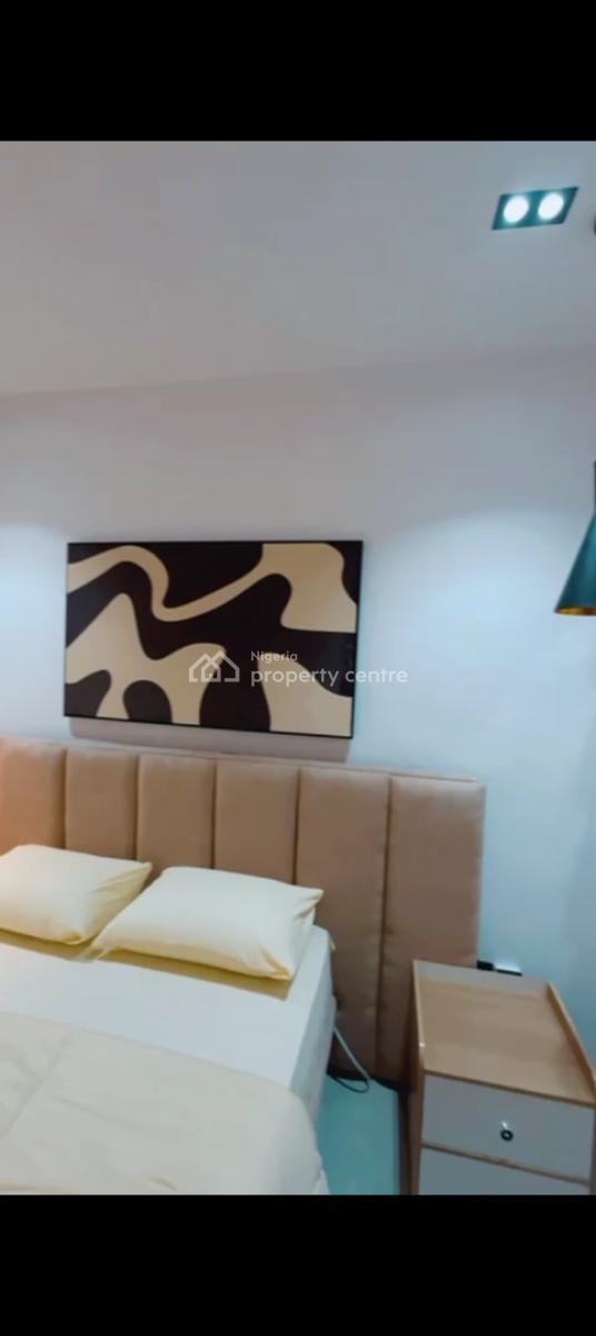 a Standard and Modern Aesthetically Pleasing 2 Bedroom Apartment, Surulere, Surulere, Lagos, Detached Duplex Short Let