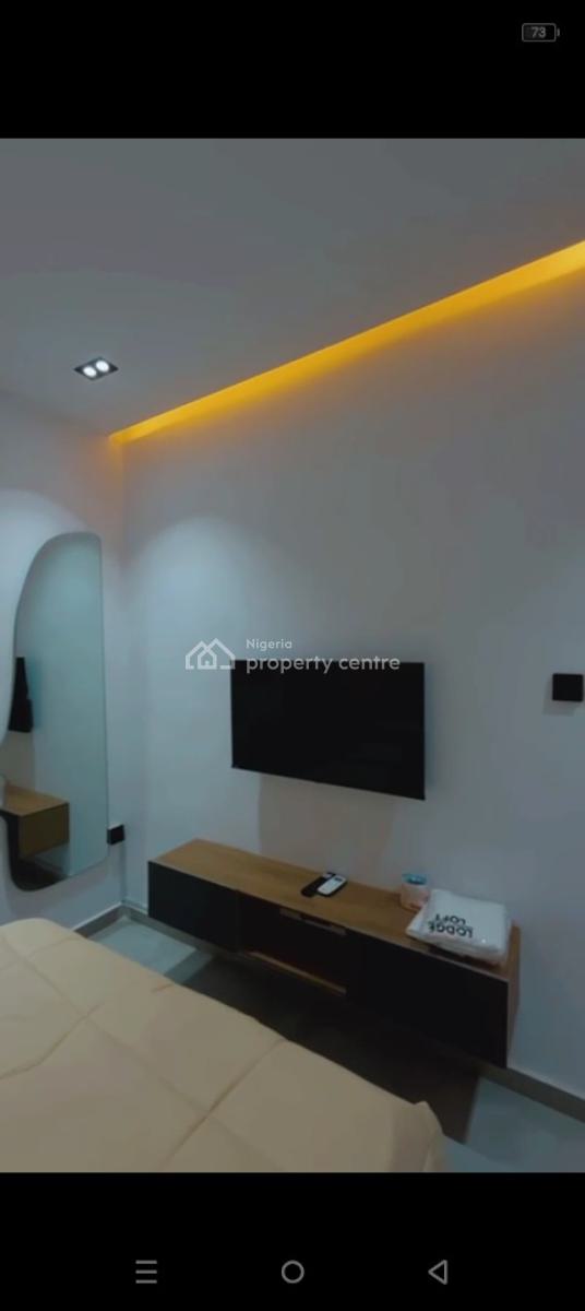 a Standard and Modern Aesthetically Pleasing 2 Bedroom Apartment, Surulere, Surulere, Lagos, Detached Duplex Short Let