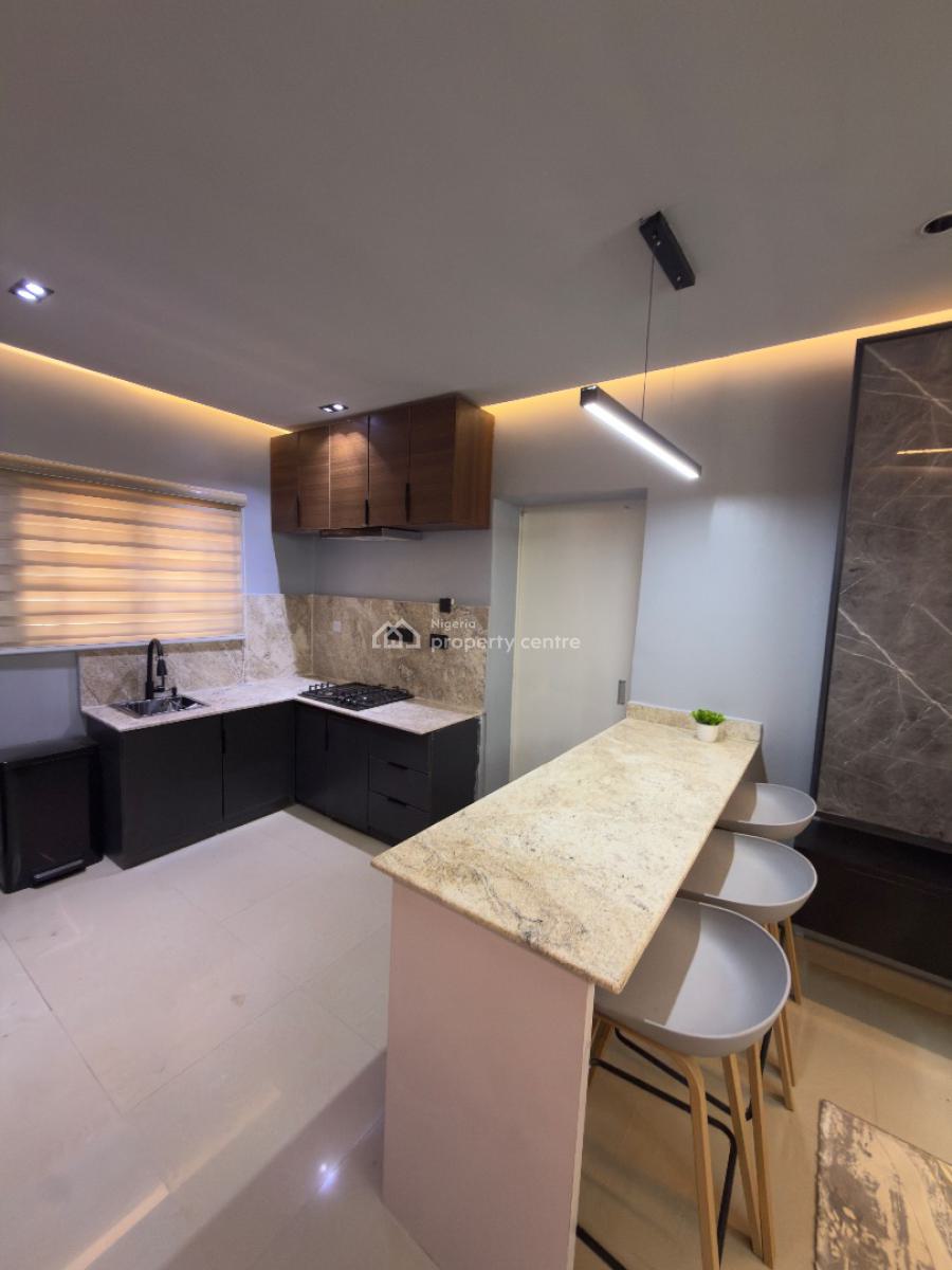 Luxurious Furnished 2 Bedroom Apartment, Wuye, Abuja, Flat / Apartment for Rent