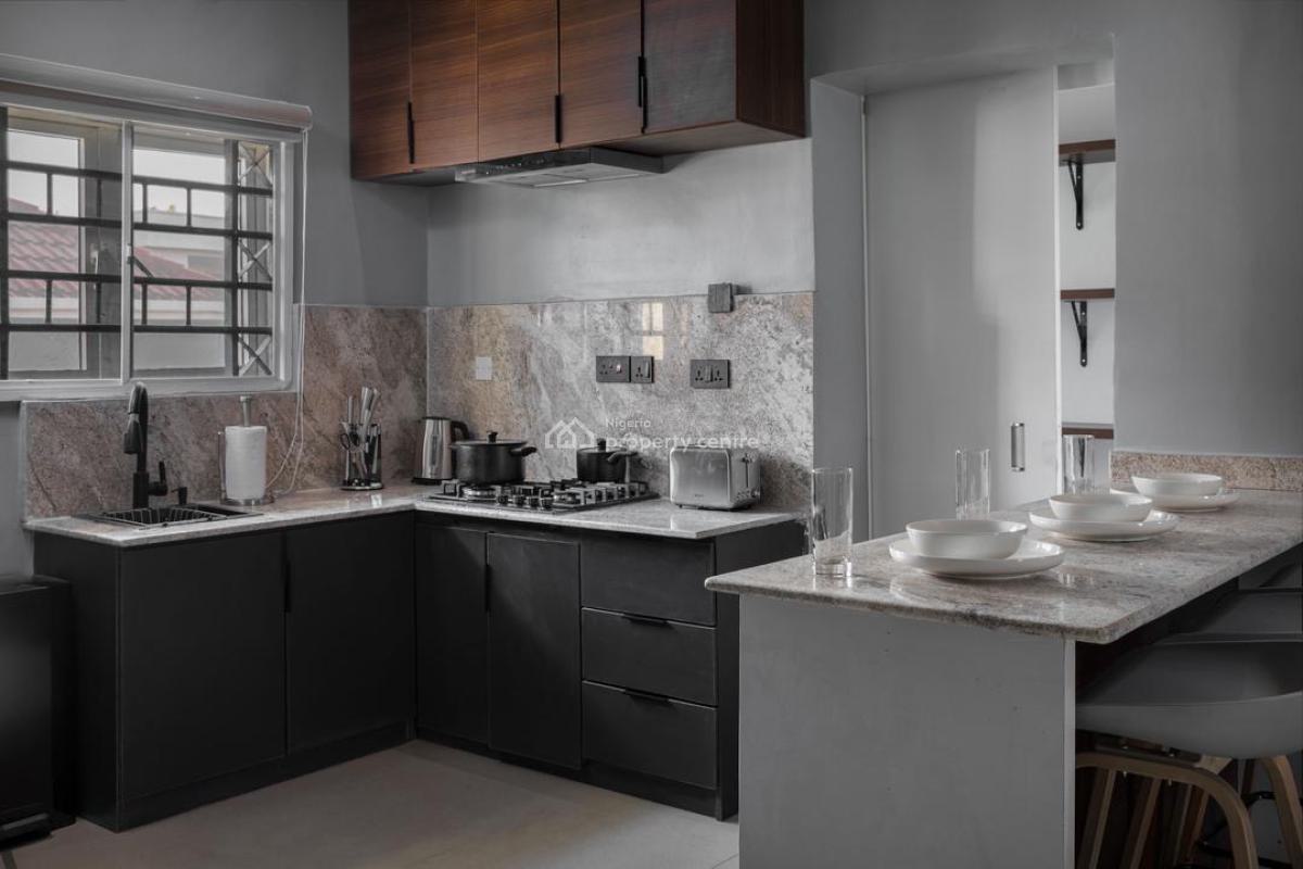 Luxurious Furnished 2 Bedroom Apartment, Wuye, Abuja, Flat / Apartment for Rent