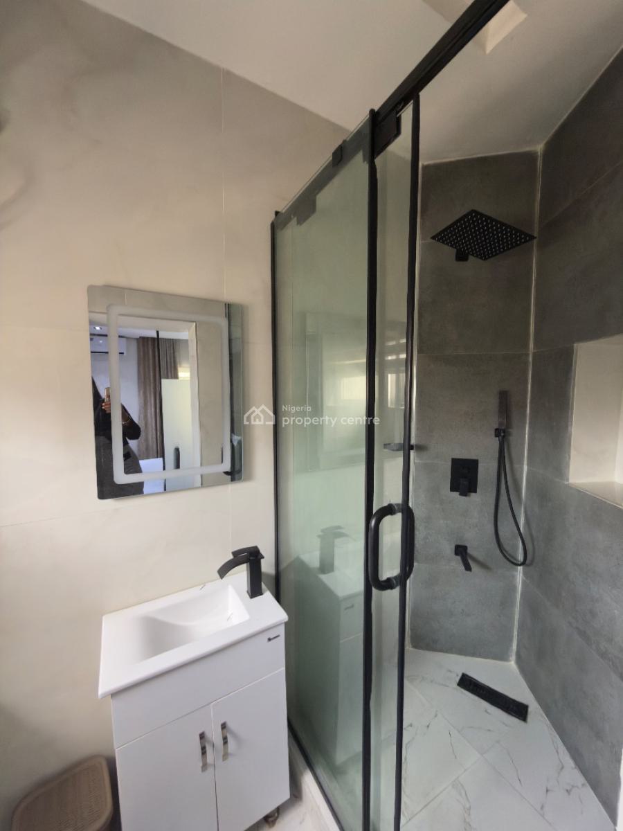 Luxury 2 Bedroom Fully Furnished Apartment, Wuye, Abuja, Flat / Apartment for Rent