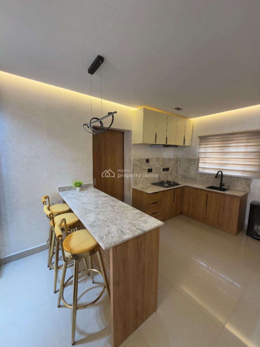 Luxury 2 Bedroom Fully Furnished Apartment, Wuye, Abuja, Flat / Apartment for Rent