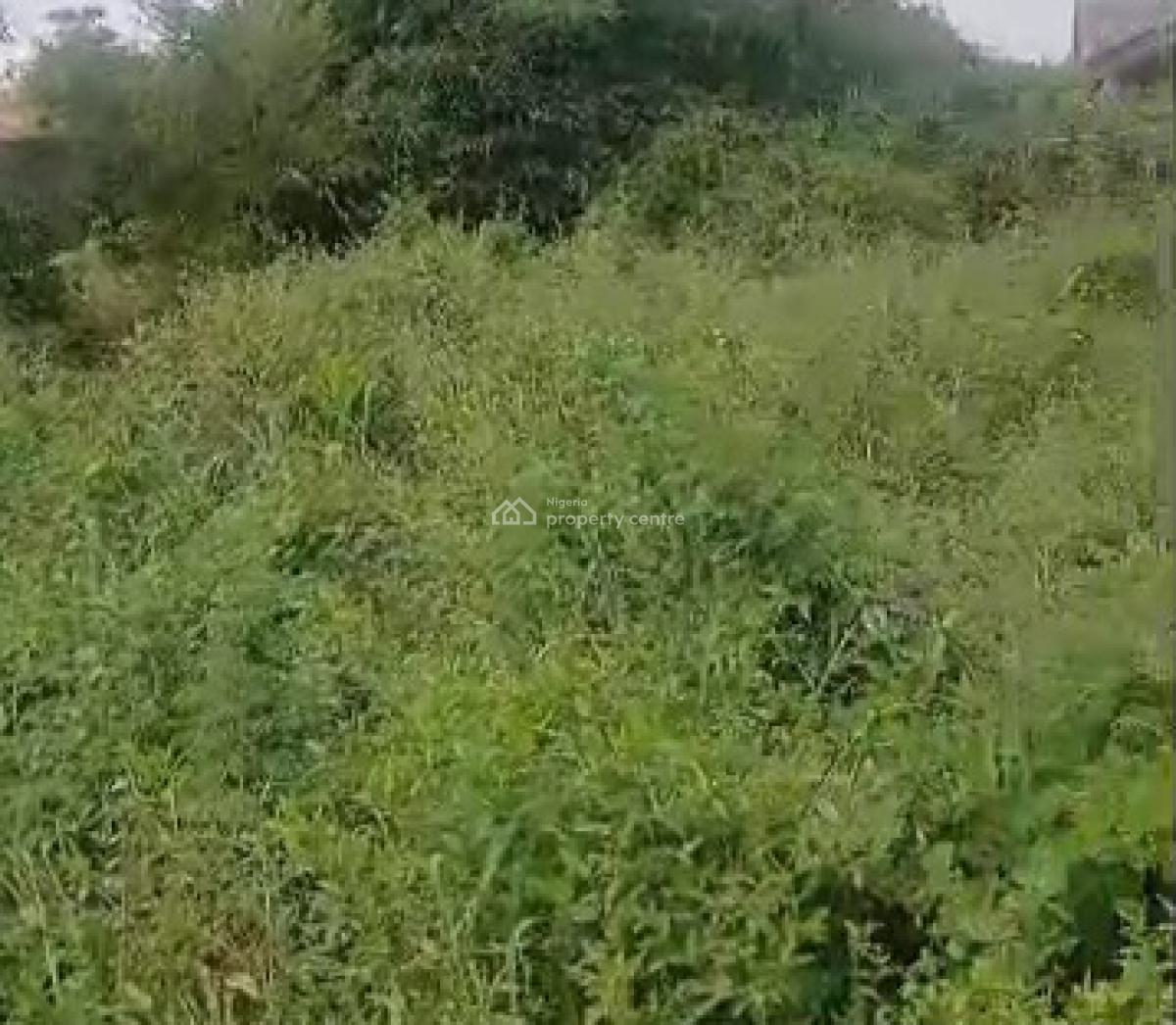 100ft By 100ft Land, Title: C of O, Ebo Community, Off Irihrhi Road, Airport Road Gra, Benin, Oredo, Edo, Land for Sale