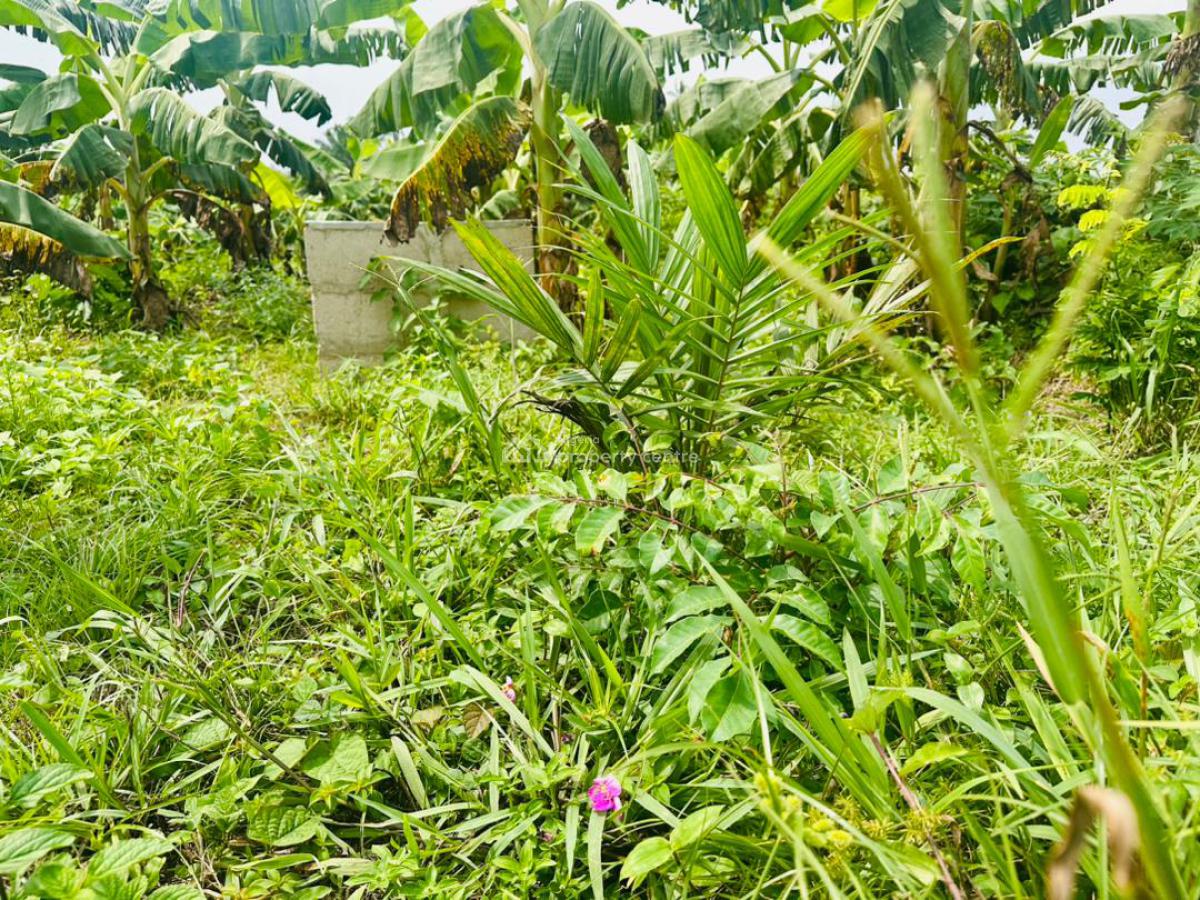 Land with Annual Income Through Oil Palm Cultivation for Free, Odolewu, Off The Epe, Ijebu Ode Expressway, Odogbolu, Ogun, Residential Land for Sale