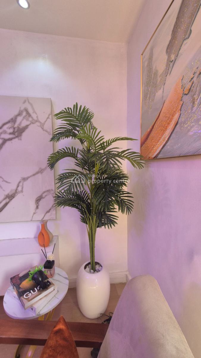 Luxury & Spacious 1 Bedroom Apartment with Solar That Powered The Acs, Off Sobo Arobiodun Street Gra Ikeja, Ikeja Gra, Ikeja, Lagos, Mini Flat (room and Parlour) for Rent