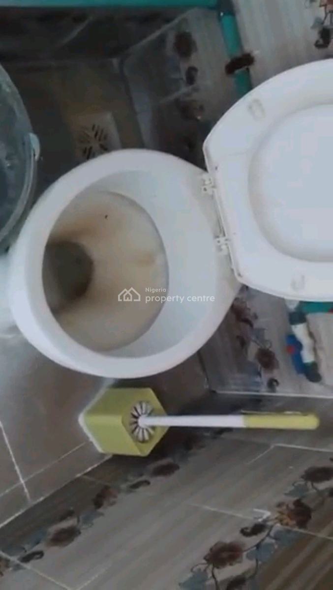 a Nice Shop, Jagunmolu Road, Bariga, Shomolu, Lagos, Shop for Rent