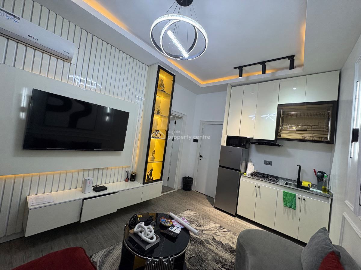 Fully Furnished 1bedroom in a Serene/secured Environment, Maitama, Maitama District, Abuja, Mini Flat (room and Parlour) for Rent