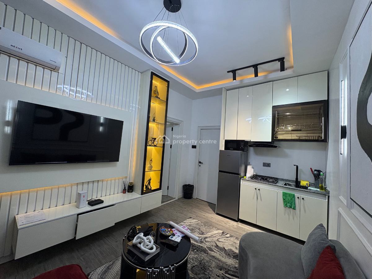 Fully Furnished 1bedroom in a Serene/secured Environment, Maitama, Maitama District, Abuja, Mini Flat (room and Parlour) for Rent