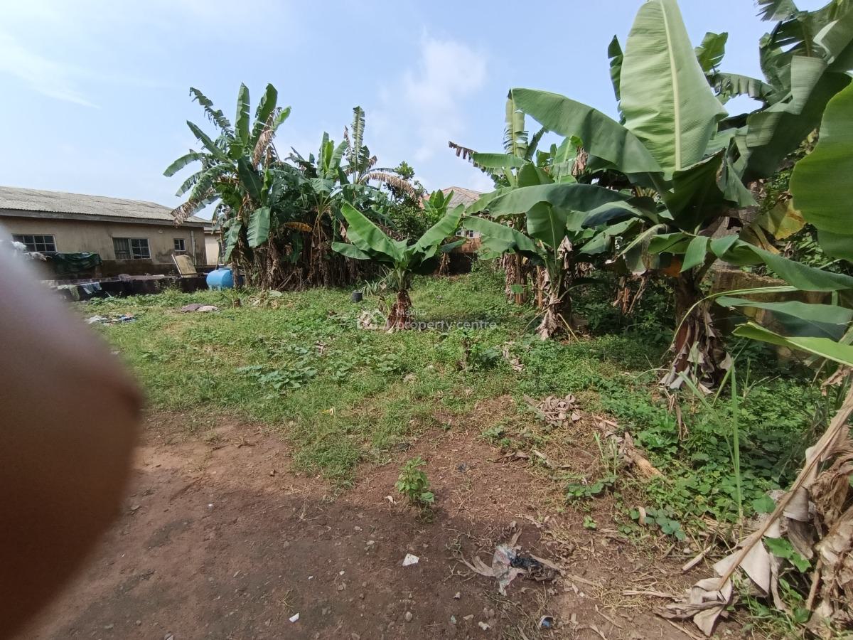 Almost Half Plot of Land to Be Cut Out on a Full Plot of Land, Lafenwa Close to Ayobo Lagos, Ado-odo/ota, Ogun, Mixed-use Land for Sale