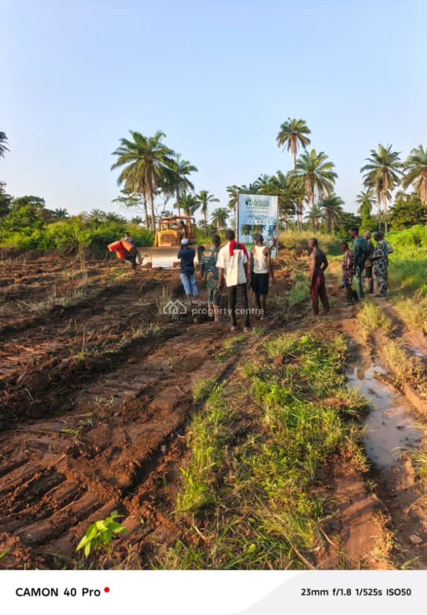 Agricultural Land Opportunity, Adàbà Coconut Farm, Obafemi Owode, Ogun, Commercial Property for Sale