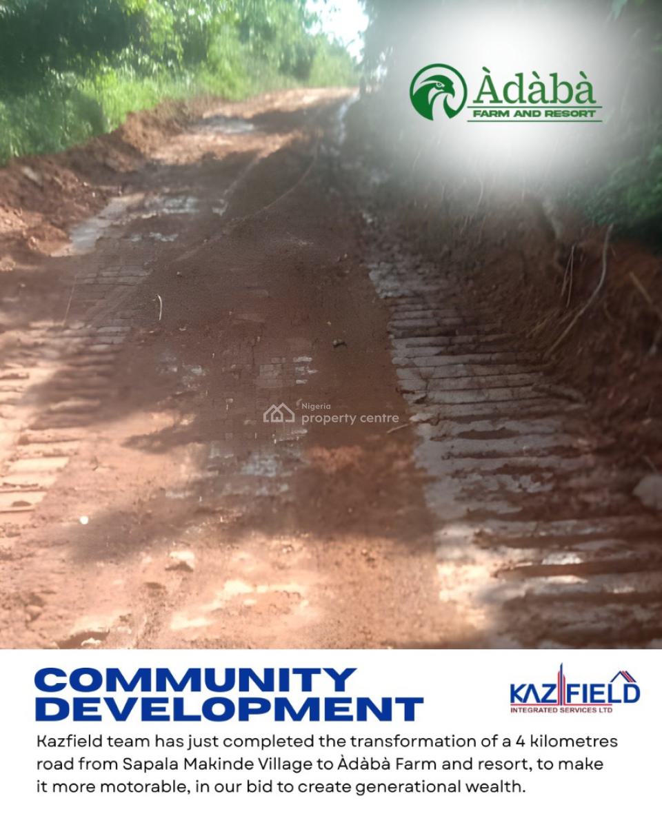 Agricultural Land Opportunity, Adàbà Coconut Farm, Obafemi Owode, Ogun, Commercial Property for Sale