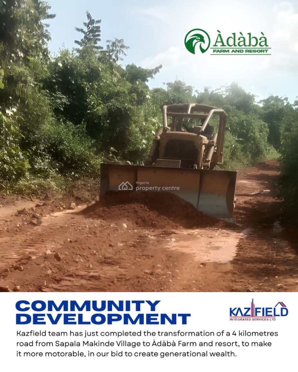 Agricultural Land Opportunity, Adàbà Coconut Farm, Obafemi Owode, Ogun, Commercial Property for Sale