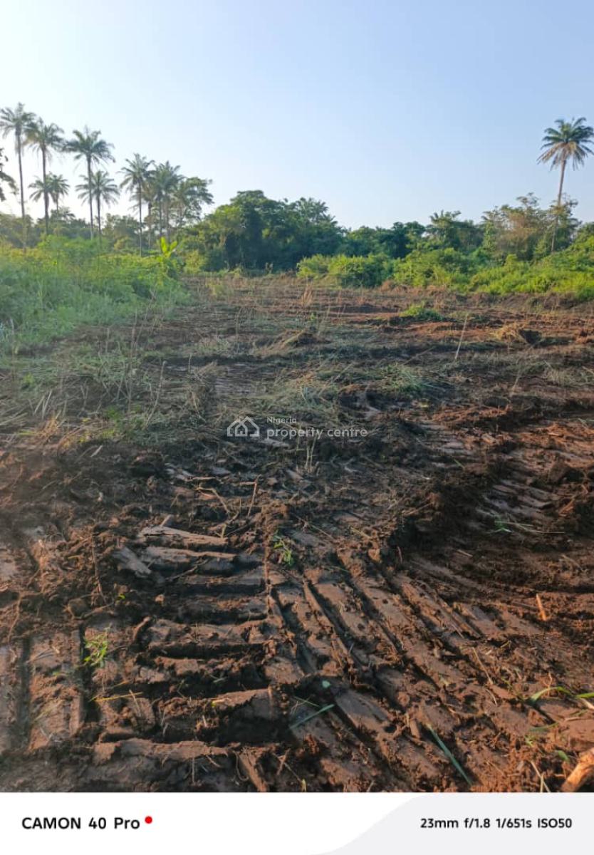 Agricultural Land Opportunity, Adàbà Coconut Farm, Obafemi Owode, Ogun, Commercial Property for Sale