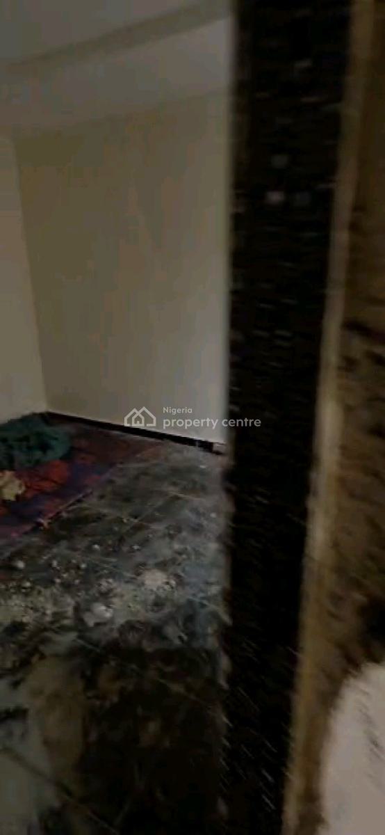 Executive Nelwy Buit ,very Decent, Standard, Spacious and Nice Minifla, Yaba, Lagos, Mini Flat (room and Parlour) for Rent