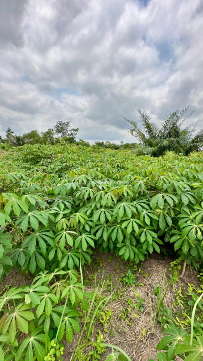 Passive-income Farmland Estate with Full Farm Management, 25 Minutes From Funaab, Heritage Farm City Phase 2, Abeokuta South, Ogun, Mixed-use Land for Sale