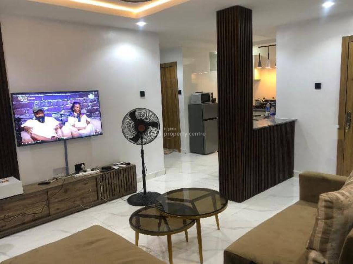 Modern and Aesthetically Pleasing 2 Bedroom Apartment, Surulere, Surulere, Lagos, Detached Duplex Short Let