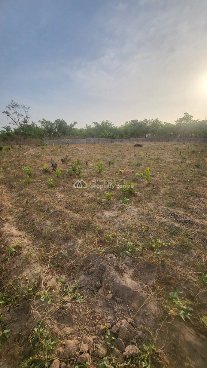 Spacious Virgin Land, Dape Close to Trem Church, Dape, Abuja, Residential Land for Sale