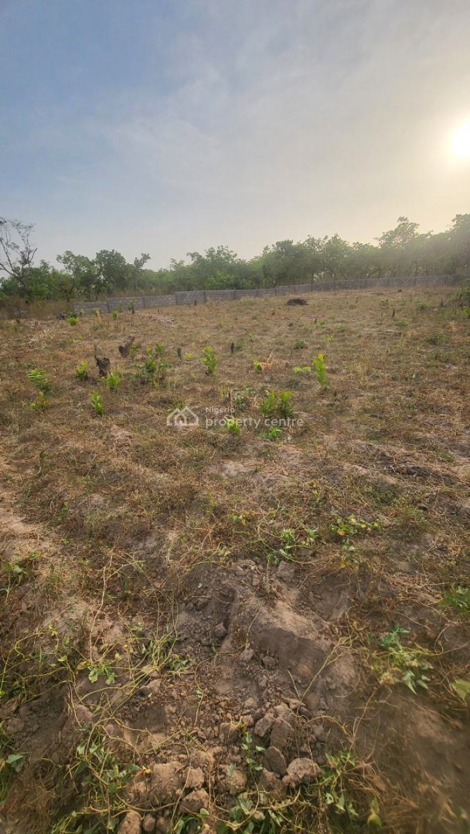 Spacious Virgin Land, Dape Close to Trem Church, Dape, Abuja, Residential Land for Sale