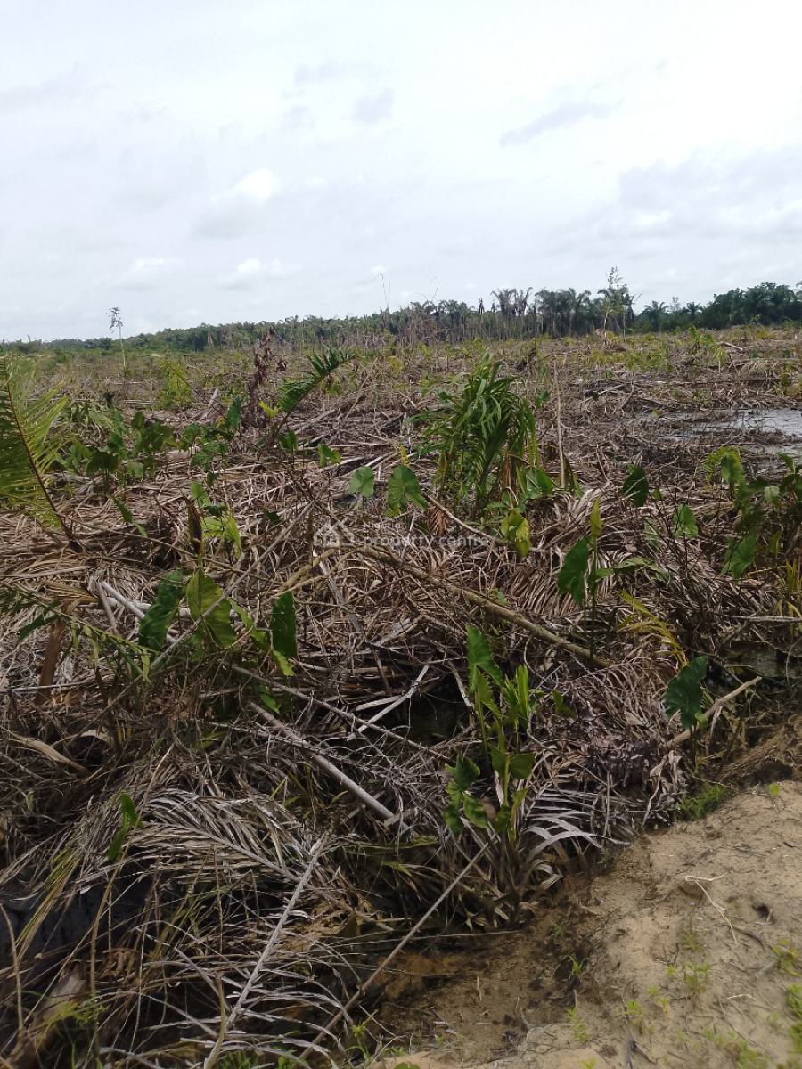 Affordable Dry Land, Igboye Boundary Between Ogun State and, Epe, Lagos, Land for Sale