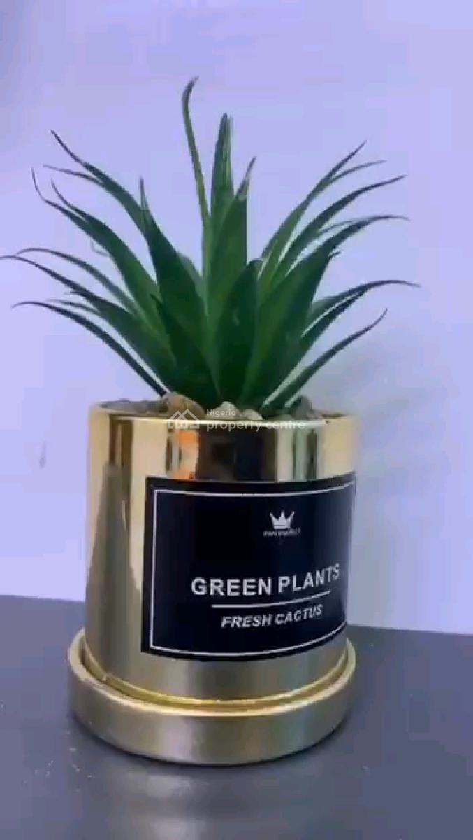 a Tastefully and Fully Furnished Miniflat Apartment, Tanimowo Off Isaac John, Yaba, Lagos, Mini Flat (room and Parlour) for Rent