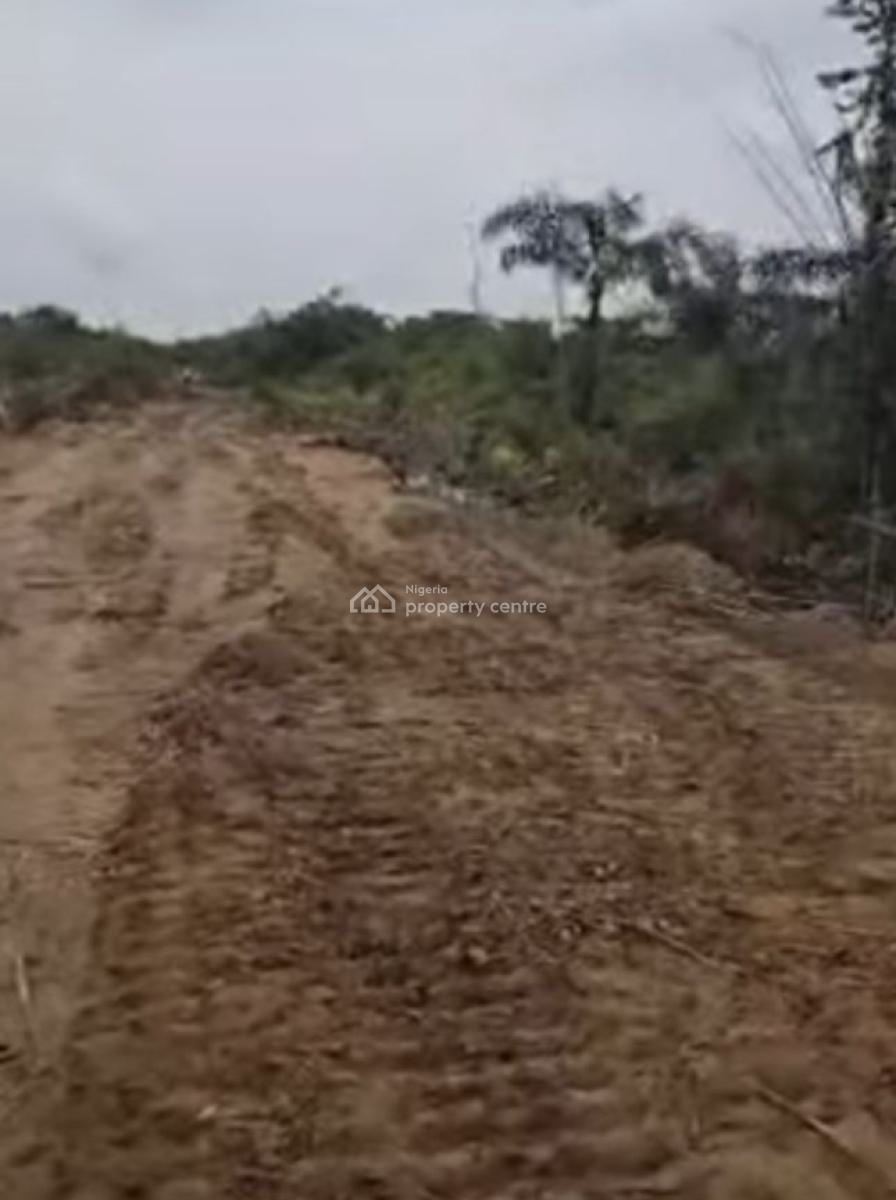 Land Measuring 20 Hectares, Free Trade Zone [ftz), Ibeju Lekki, Lagos, Mixed-use Land for Sale